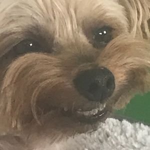 Meet your Posher, Avery